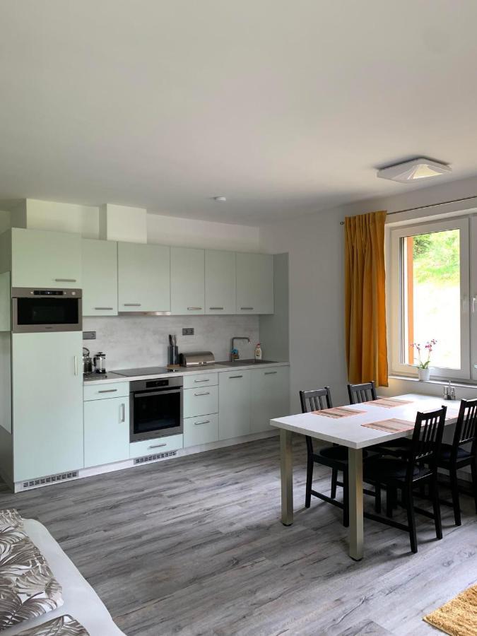 Apartman U Lomu Dolní Morava Buitenkant foto